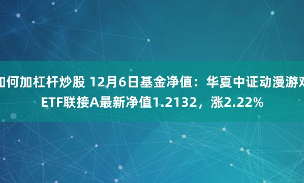 如何加杠杆炒股 12月6日基金净值：华夏中证动漫游戏ETF联接A最新净值1.2132，涨2.22%