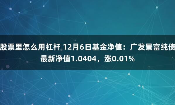 股票里怎么用杠杆 12月6日基金净值：广发景富纯债最新净值1.0404，涨0.01%