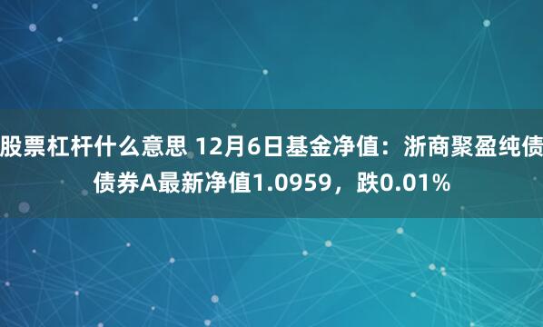 股票杠杆什么意思 12月6日基金净值：浙商聚盈纯债债券A最新净值1.0959，跌0.01%