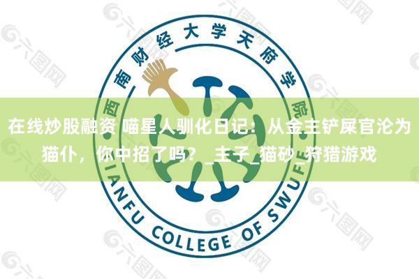 在线炒股融资 喵星人驯化日记：从金主铲屎官沦为猫仆，你中招了吗？_主子_猫砂_狩猎游戏