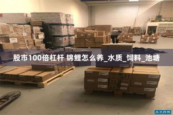 股市100倍杠杆 锦鲤怎么养_水质_饲料_池塘