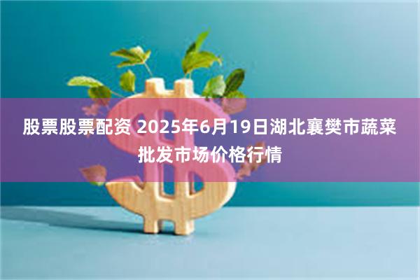 股票股票配资 2025年6月19日湖北襄樊市蔬菜批发市场价格行情