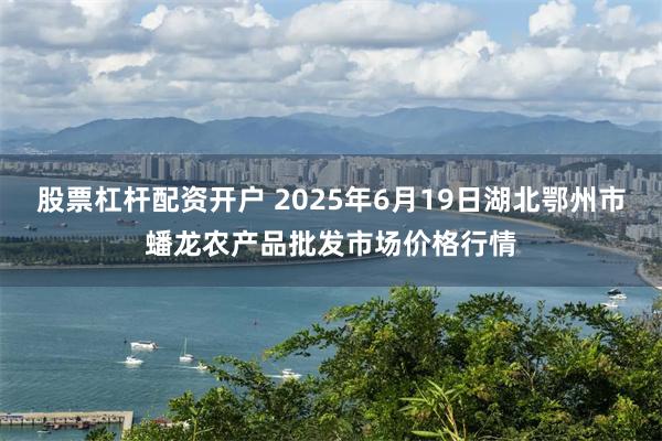 股票杠杆配资开户 2025年6月19日湖北鄂州市蟠龙农产品批发市场价格行情
