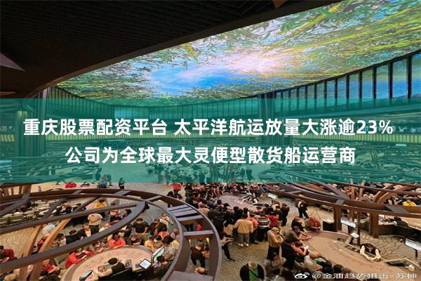 重庆股票配资平台 太平洋航运放量大涨逾23% 公司为全球最大灵便型散货船运营商