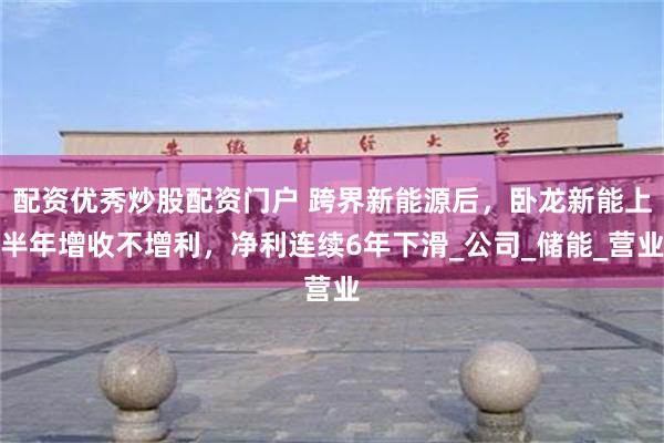 配资优秀炒股配资门户 跨界新能源后，卧龙新能上半年增收不增利，净利连续6年下滑_公司_储能_营业